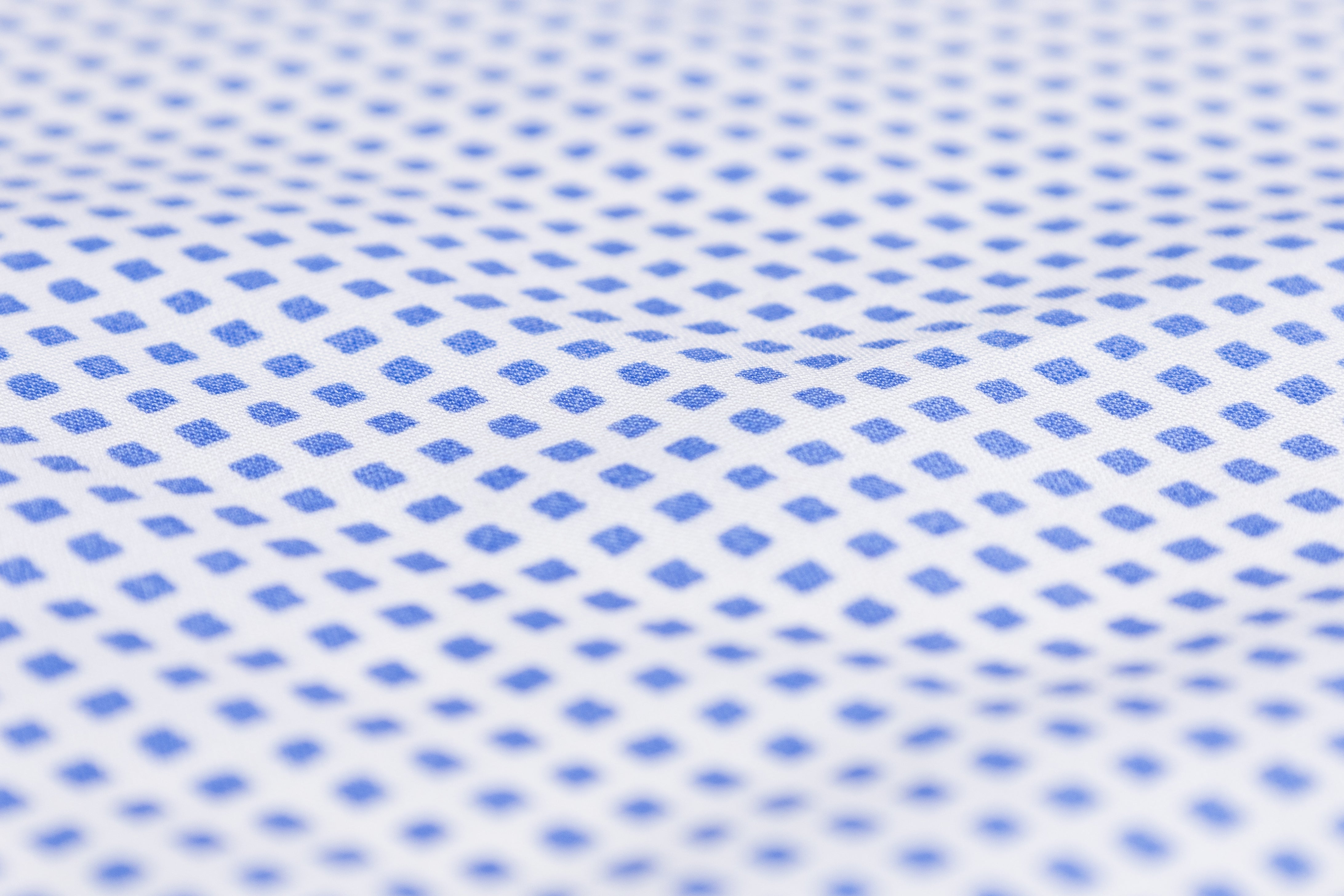 Checked Cotton Shirting - Blue / White