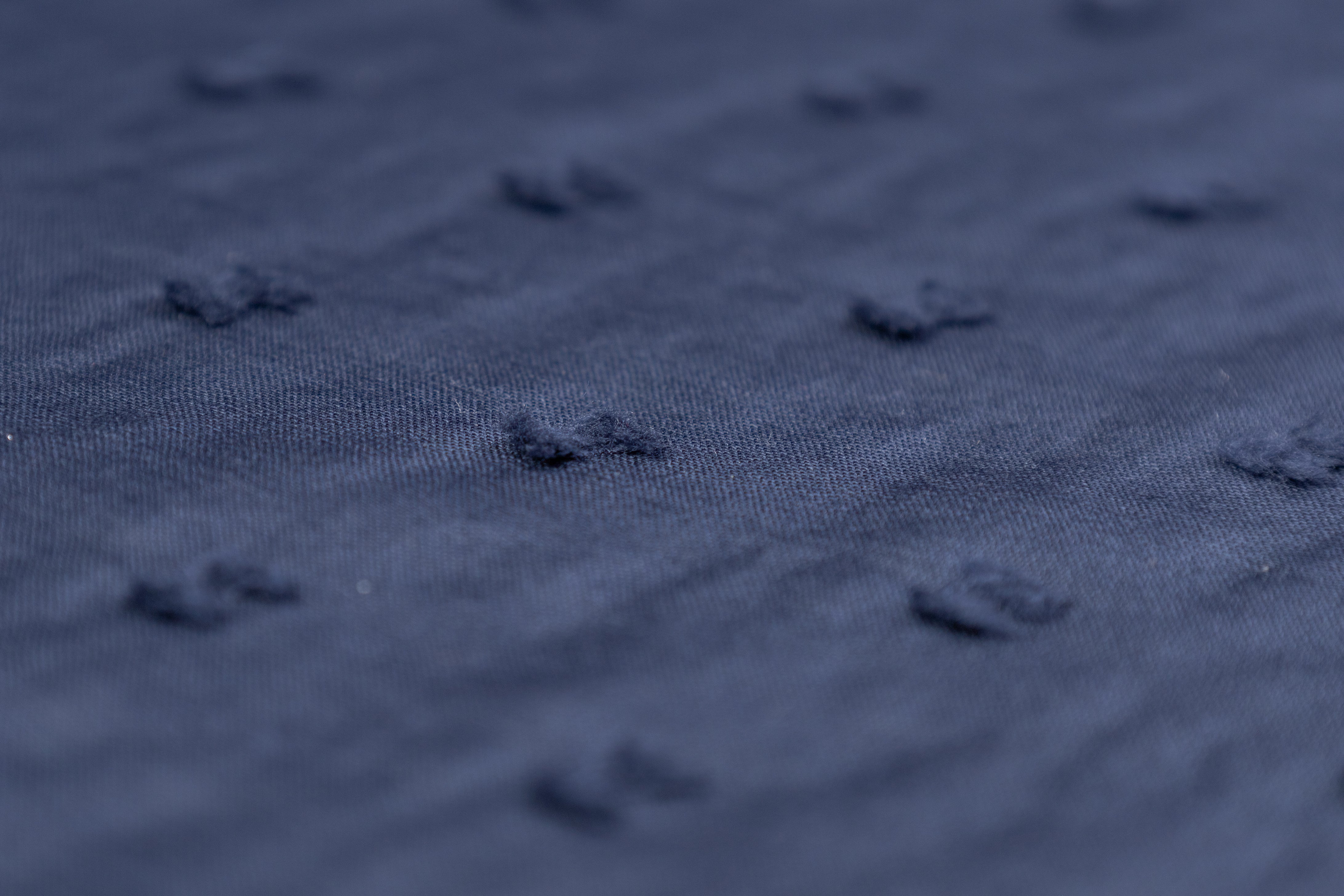 Swiss Dot Cotton Voile - Blue