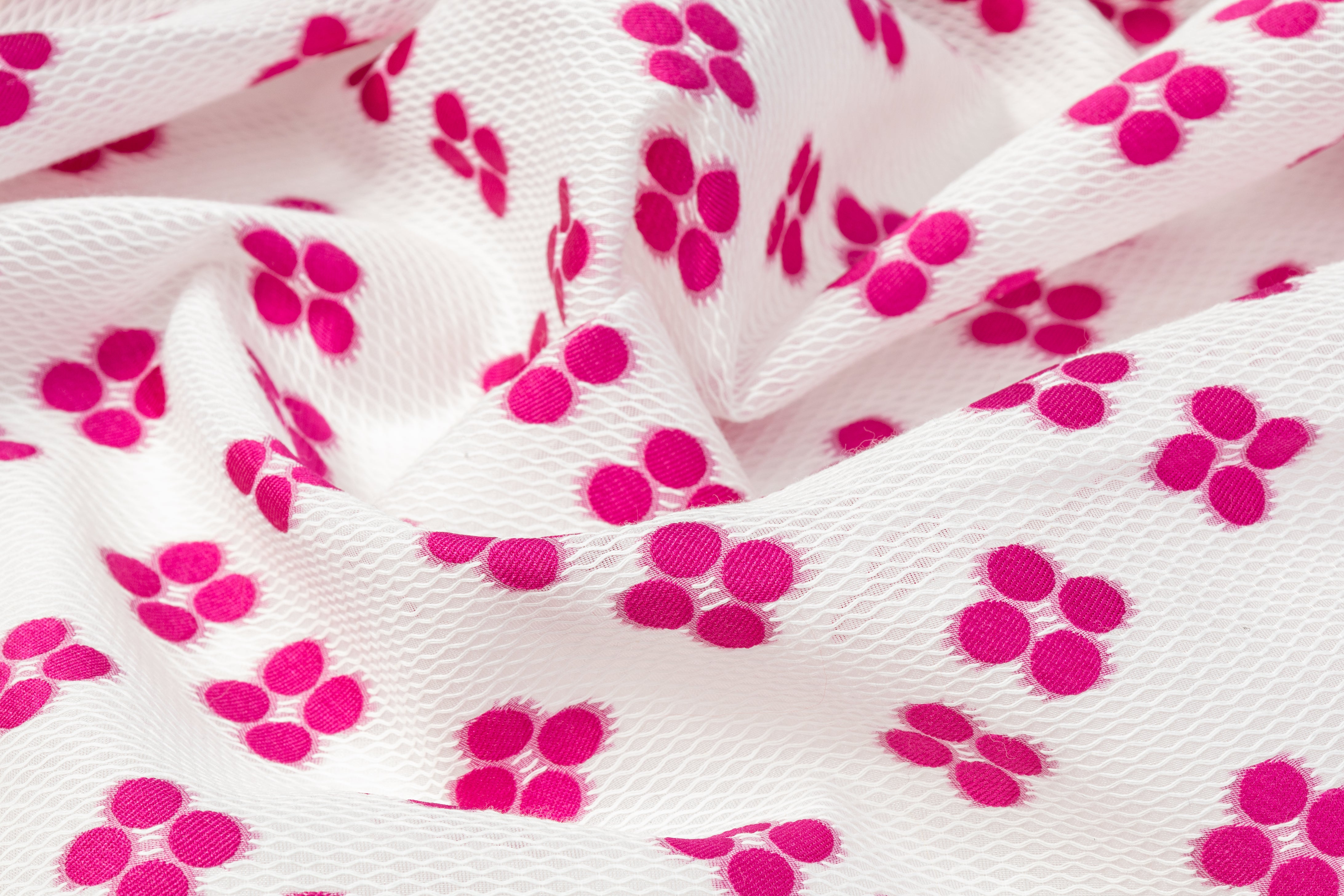 Embroidered Polyester Organza - White / Fuchsia