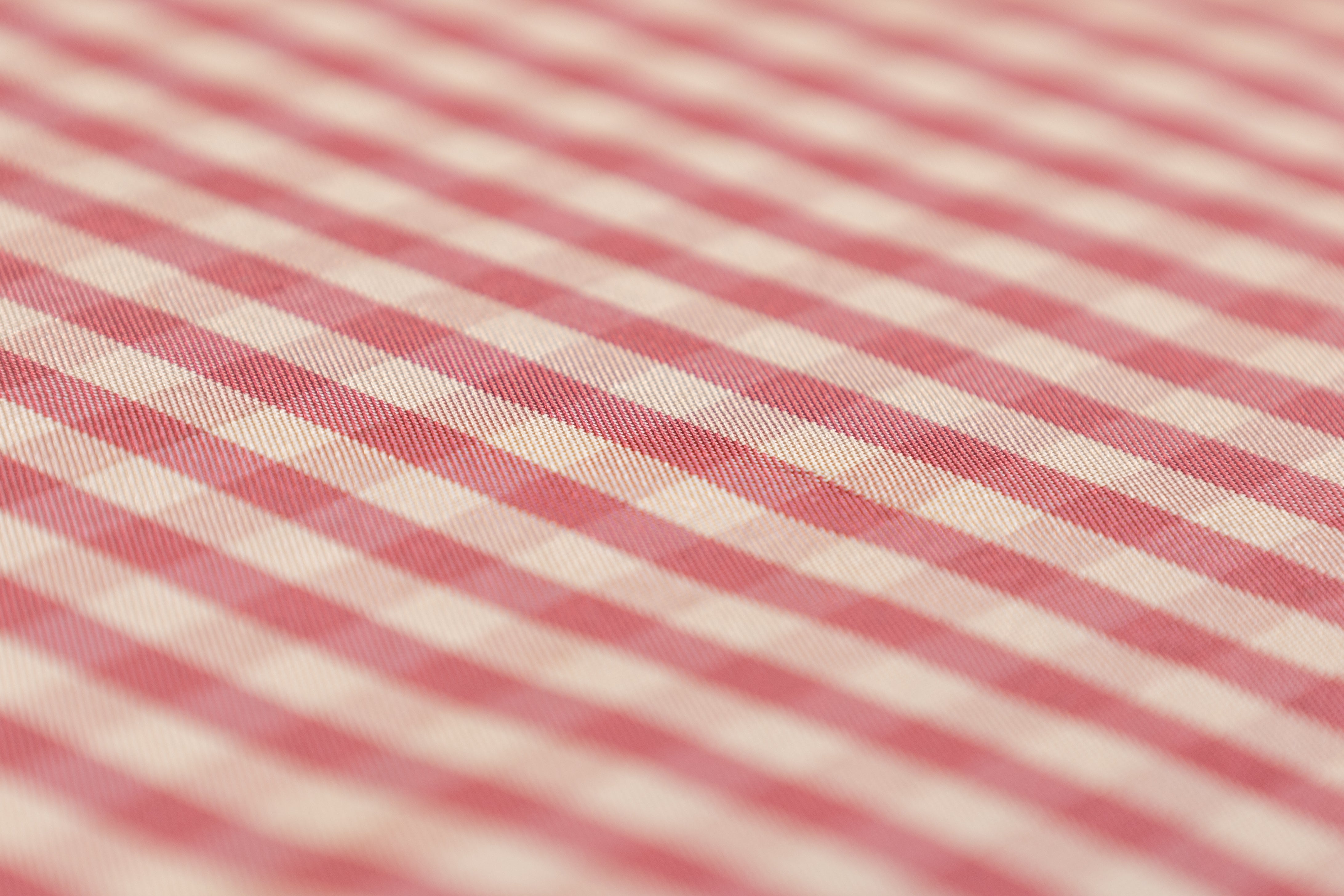 Gingham Check Silk Taffeta - Beige / Rose