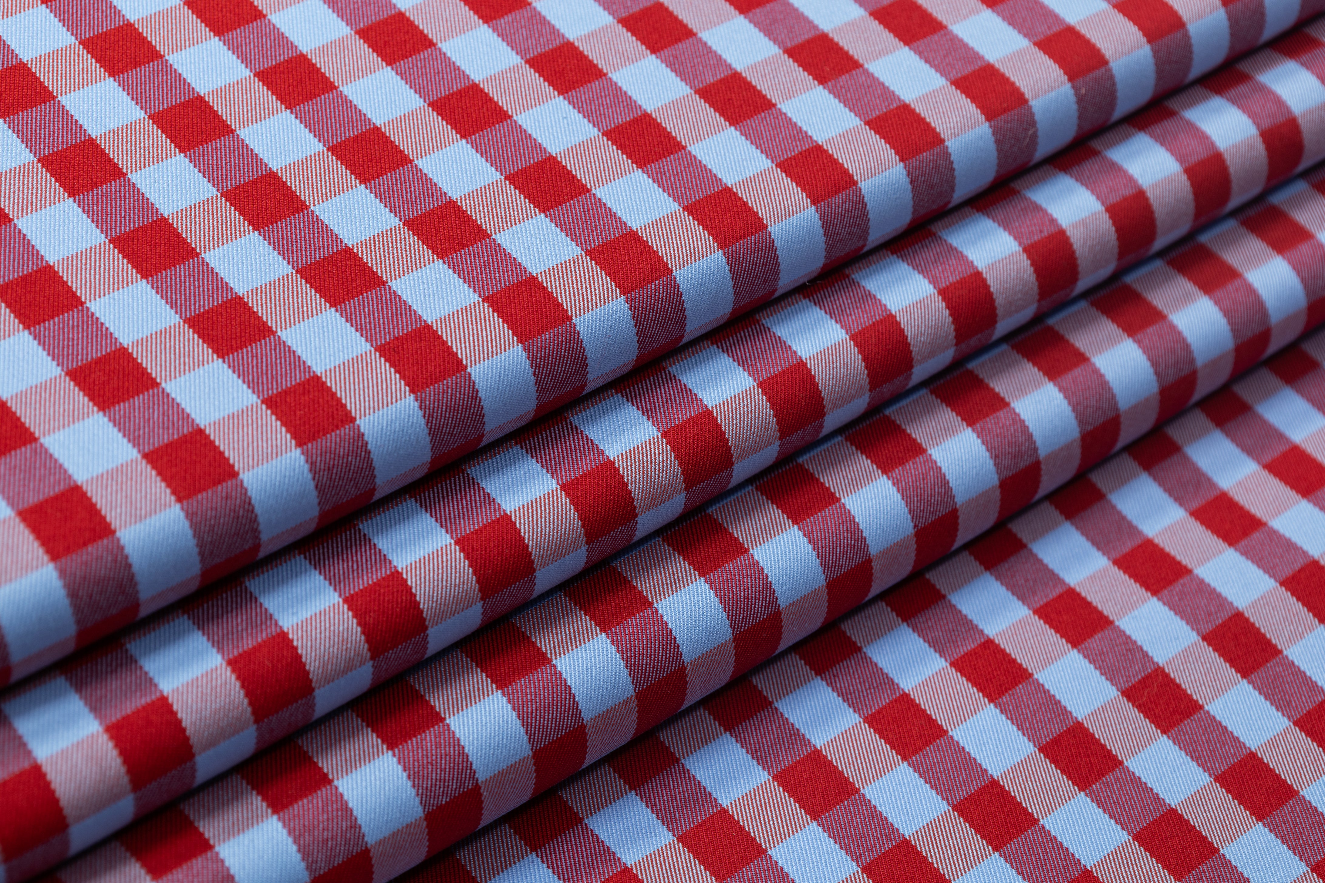 Checked Cotton Twill - Blue / Red