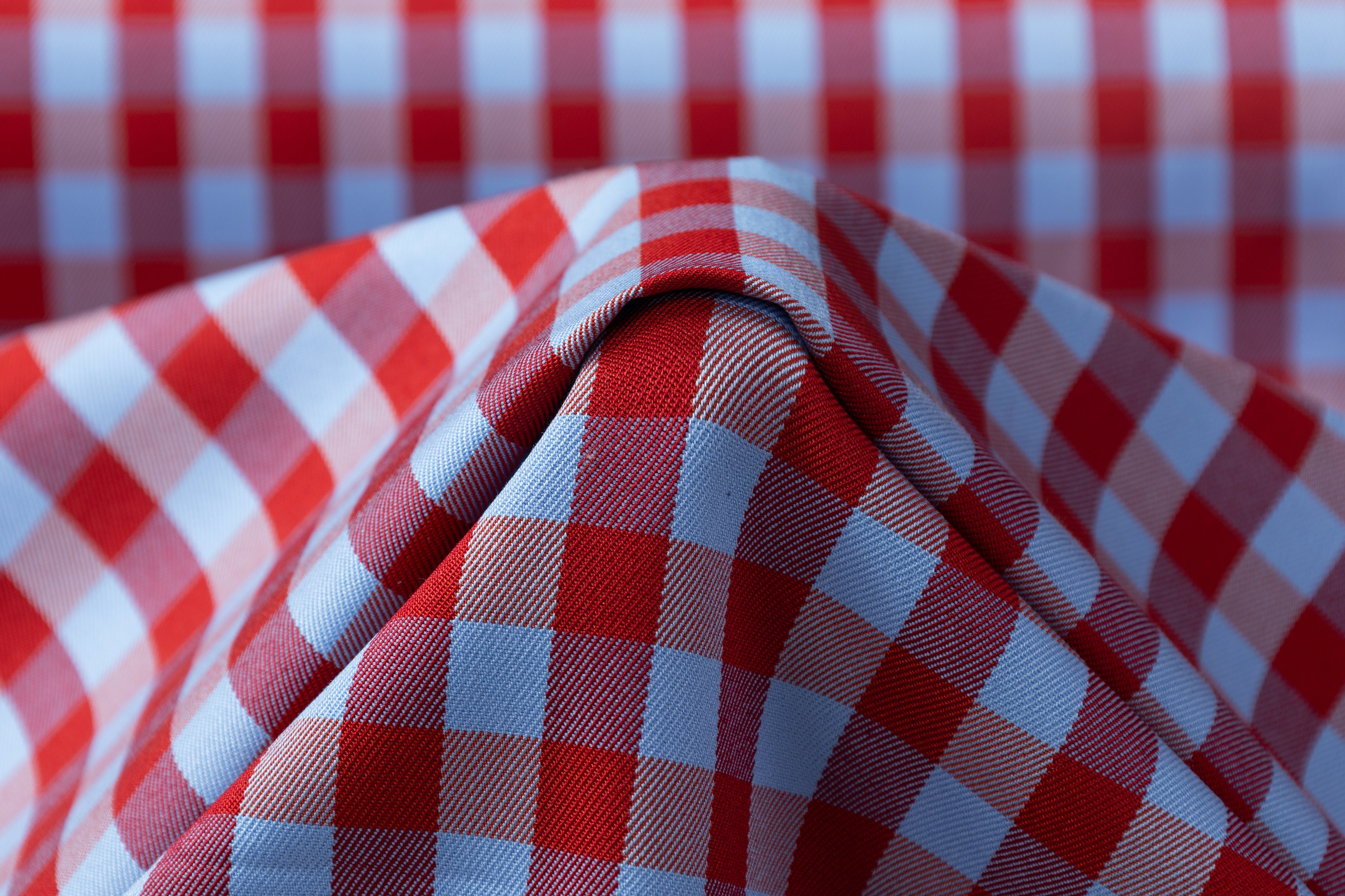 Checked Cotton Twill - Blue / Red