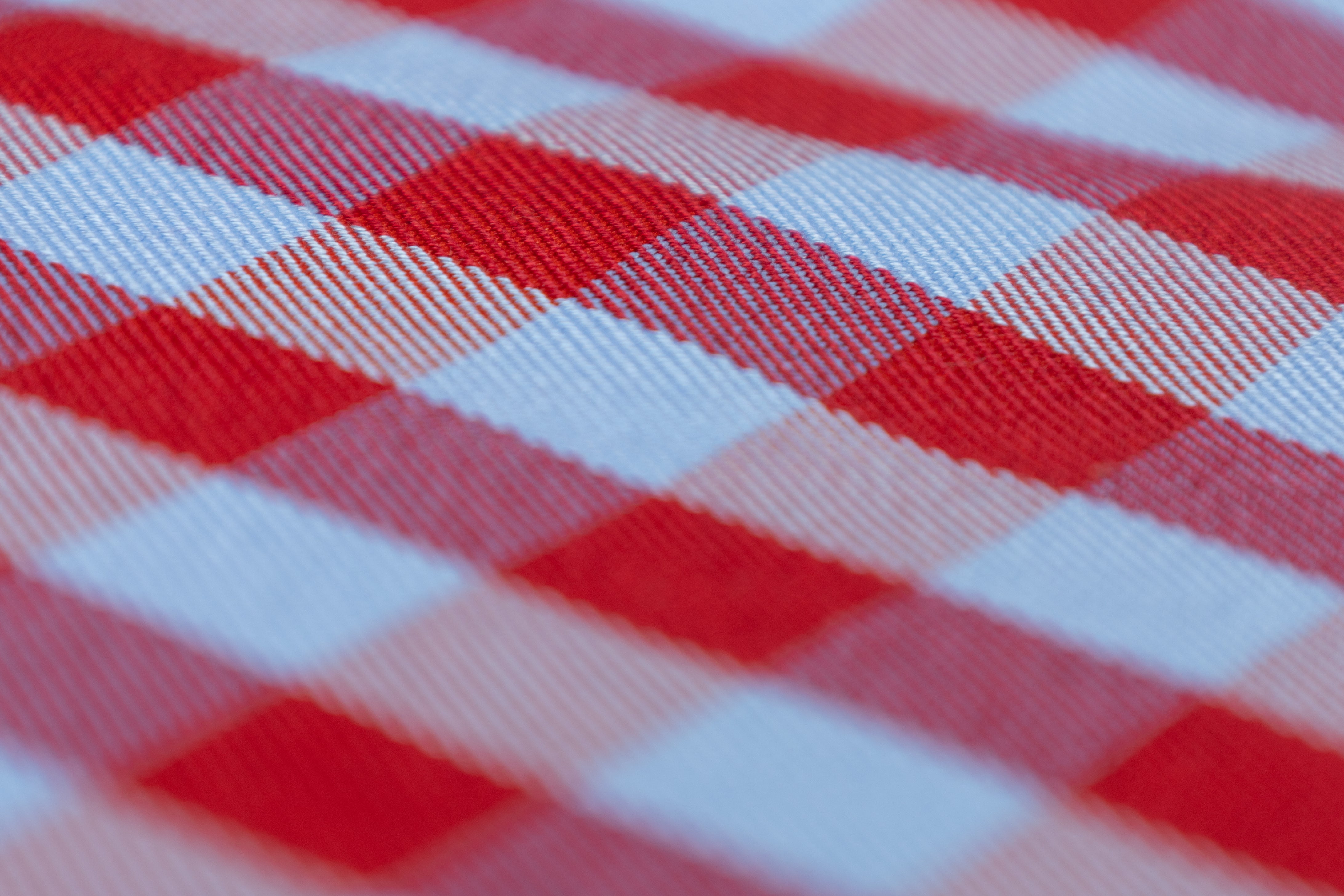 Checked Cotton Twill - Blue / Red