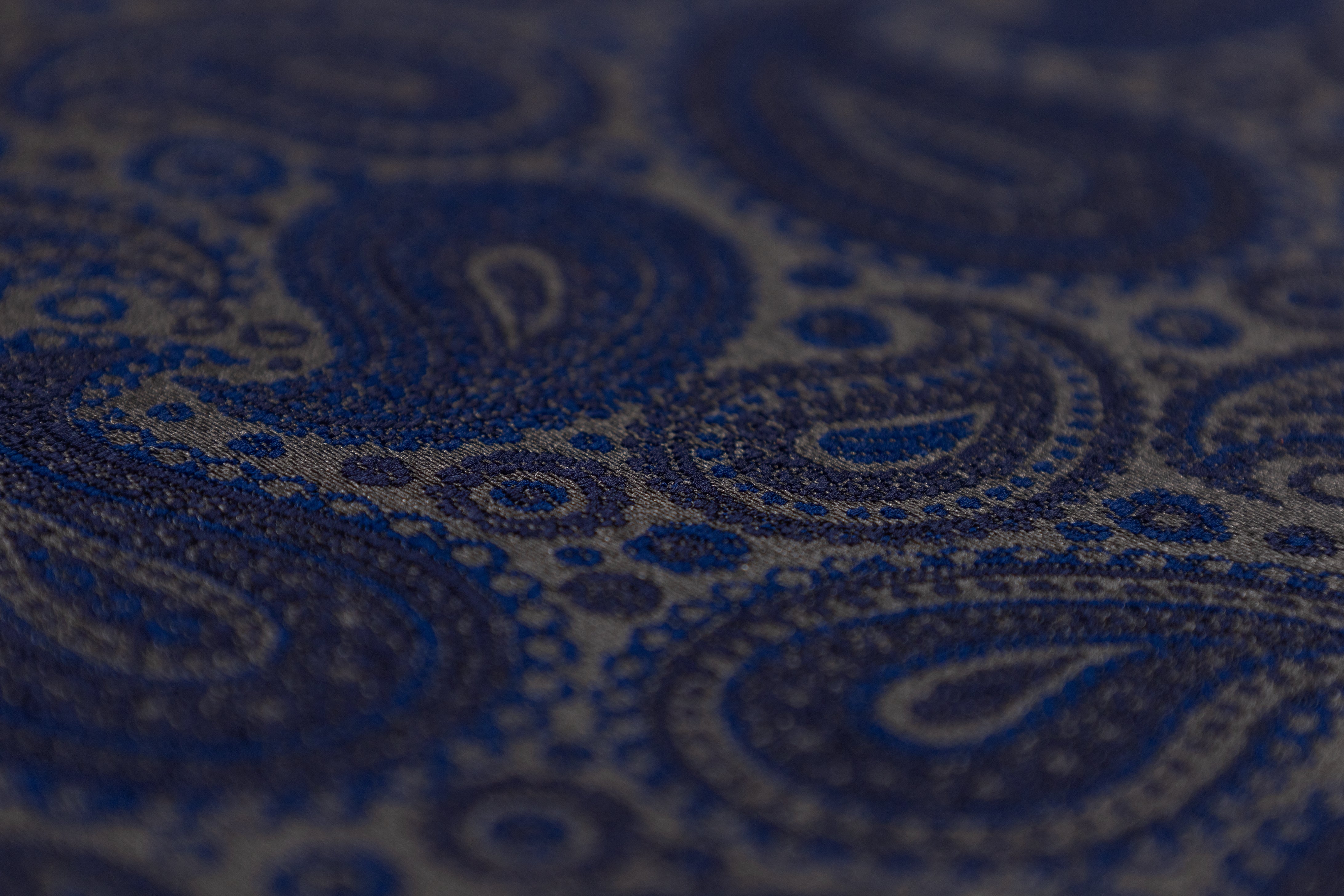 Paisley Brocade - Navy Blue