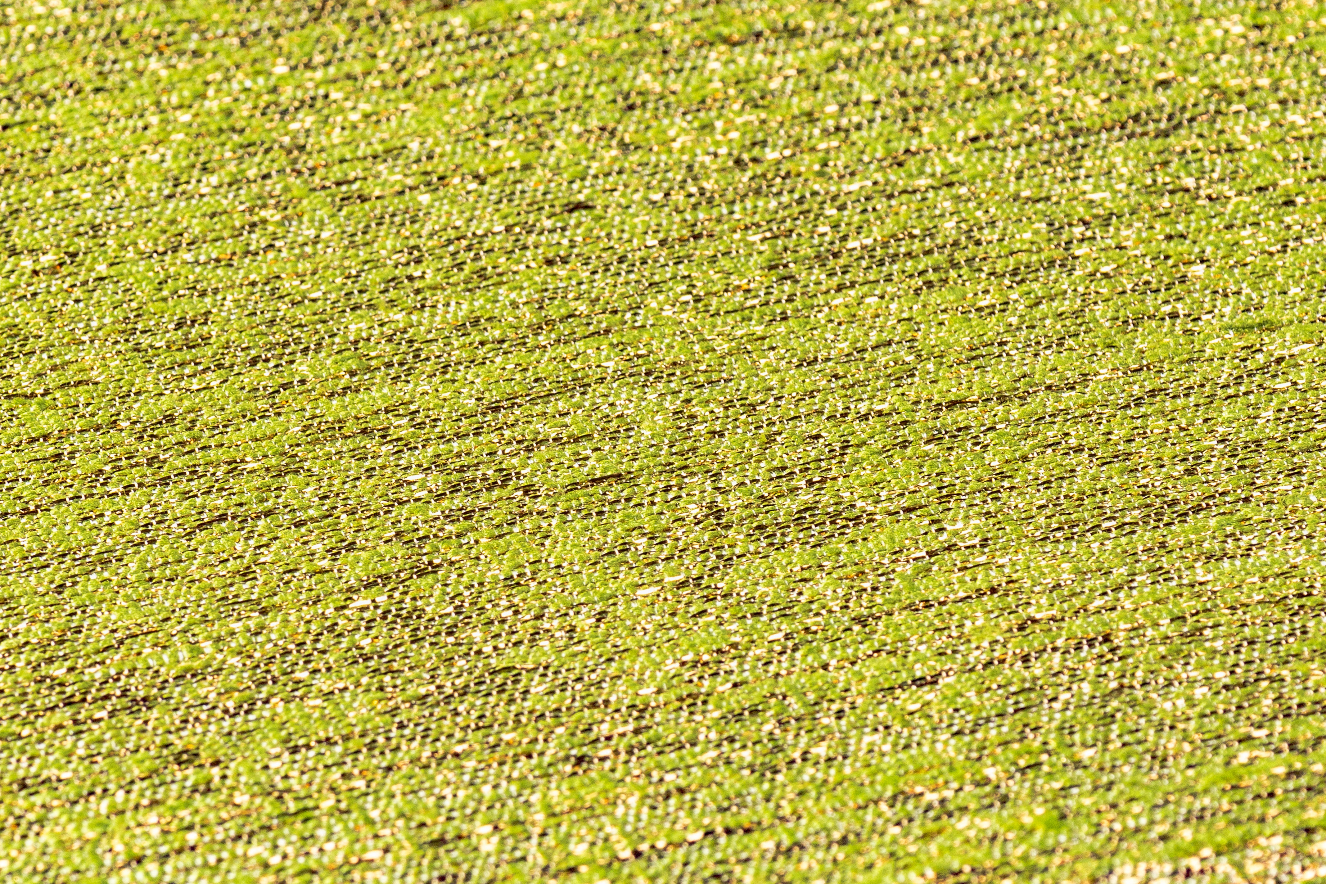 Silk Blend Italian Metallic Brocade - Green / Gold