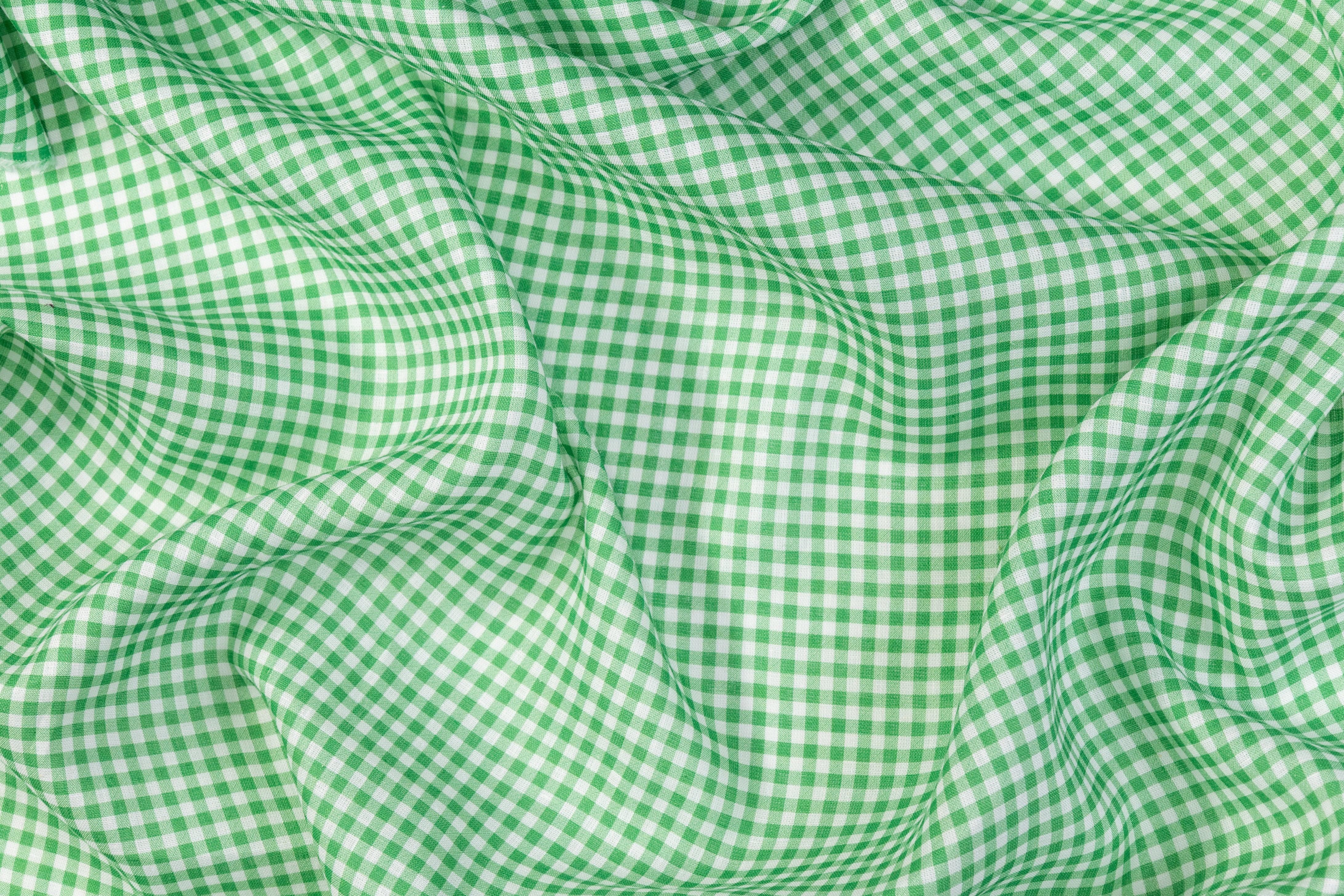 Gingham Check Italian Linen - Green