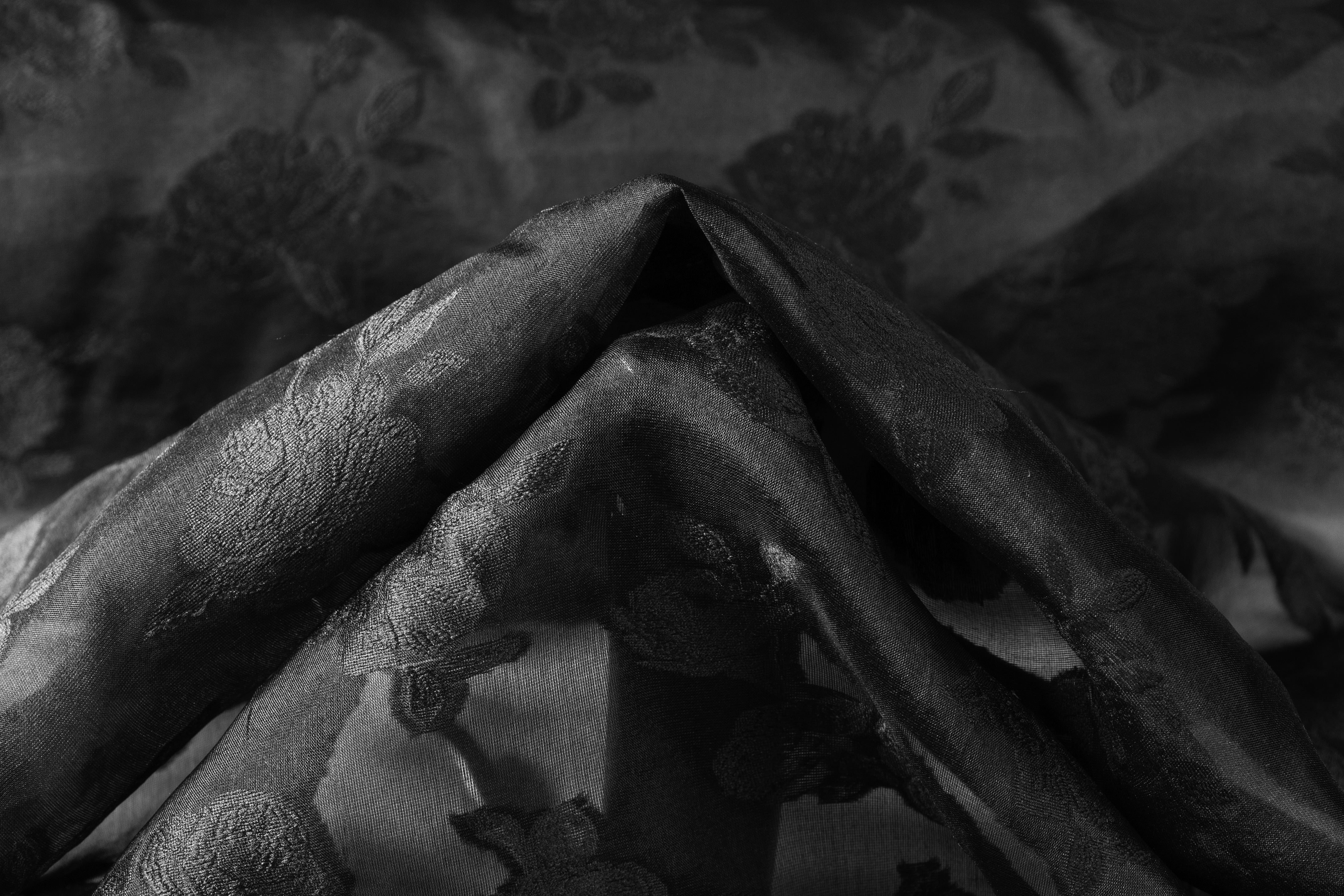 Floral Silk Organza Fil Coupé - Black