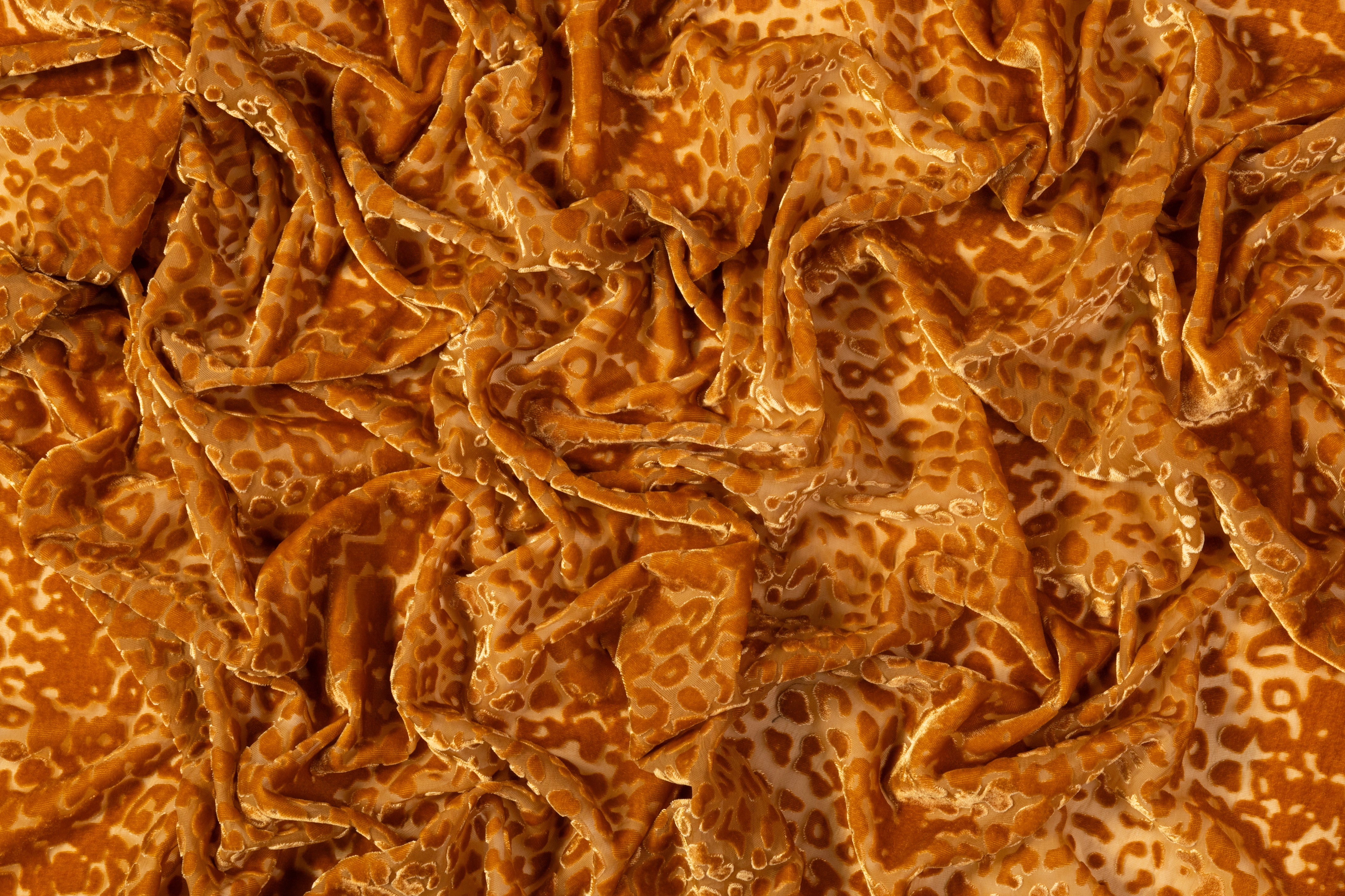 Cheetah Velvet Burnout - Copper