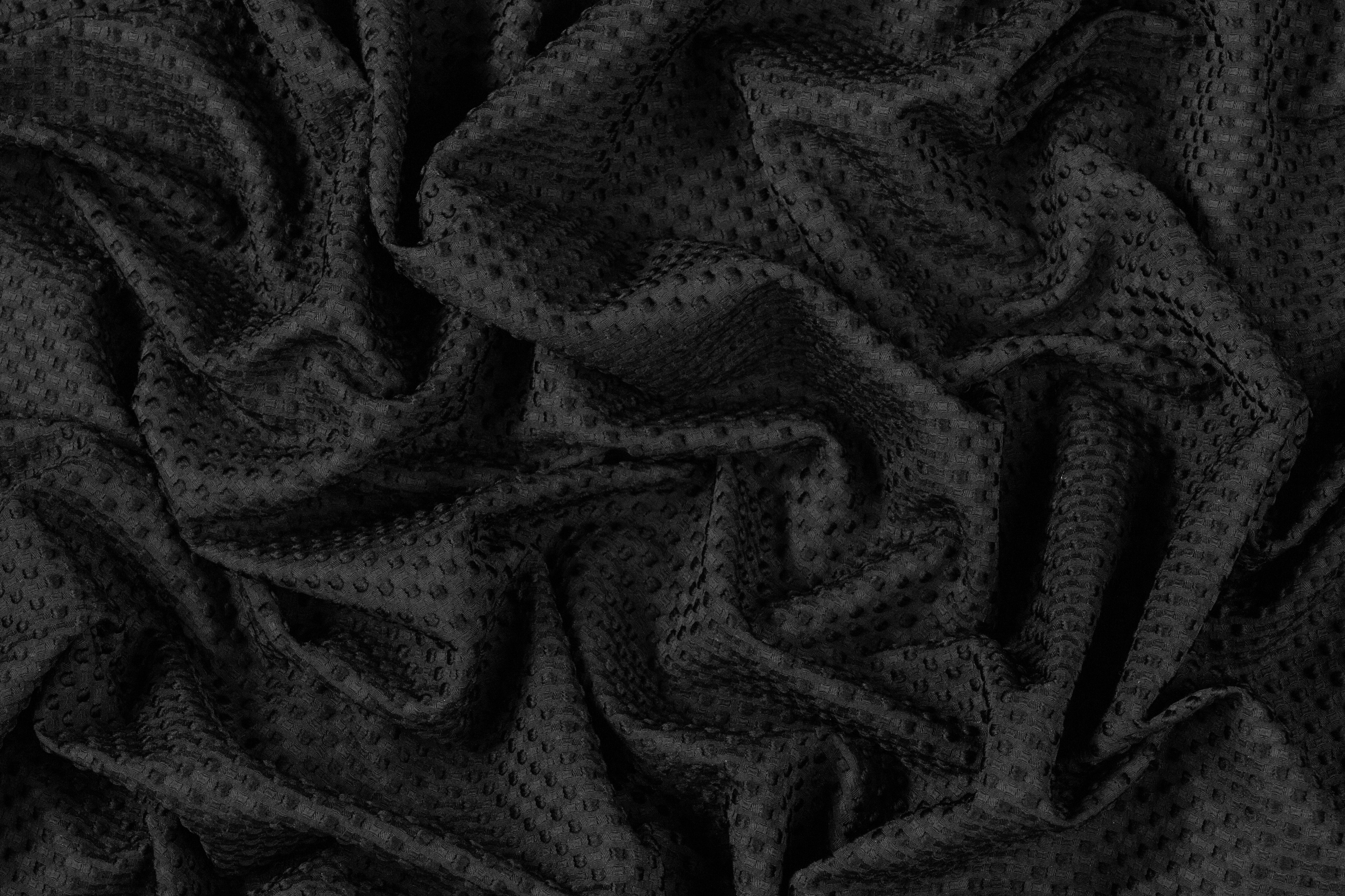 Dotted Brocade - Black