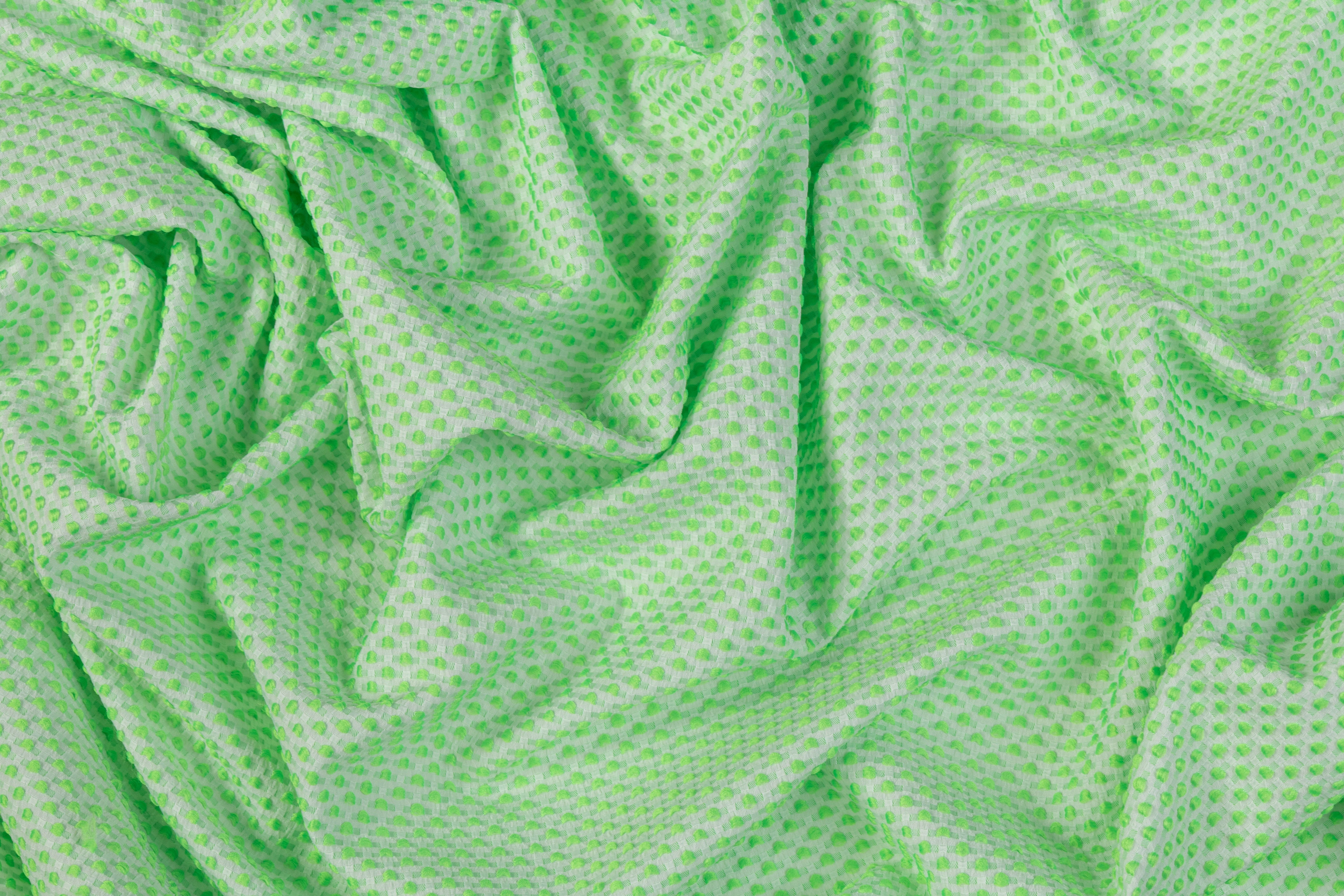 Dotted Brocade - Green / White