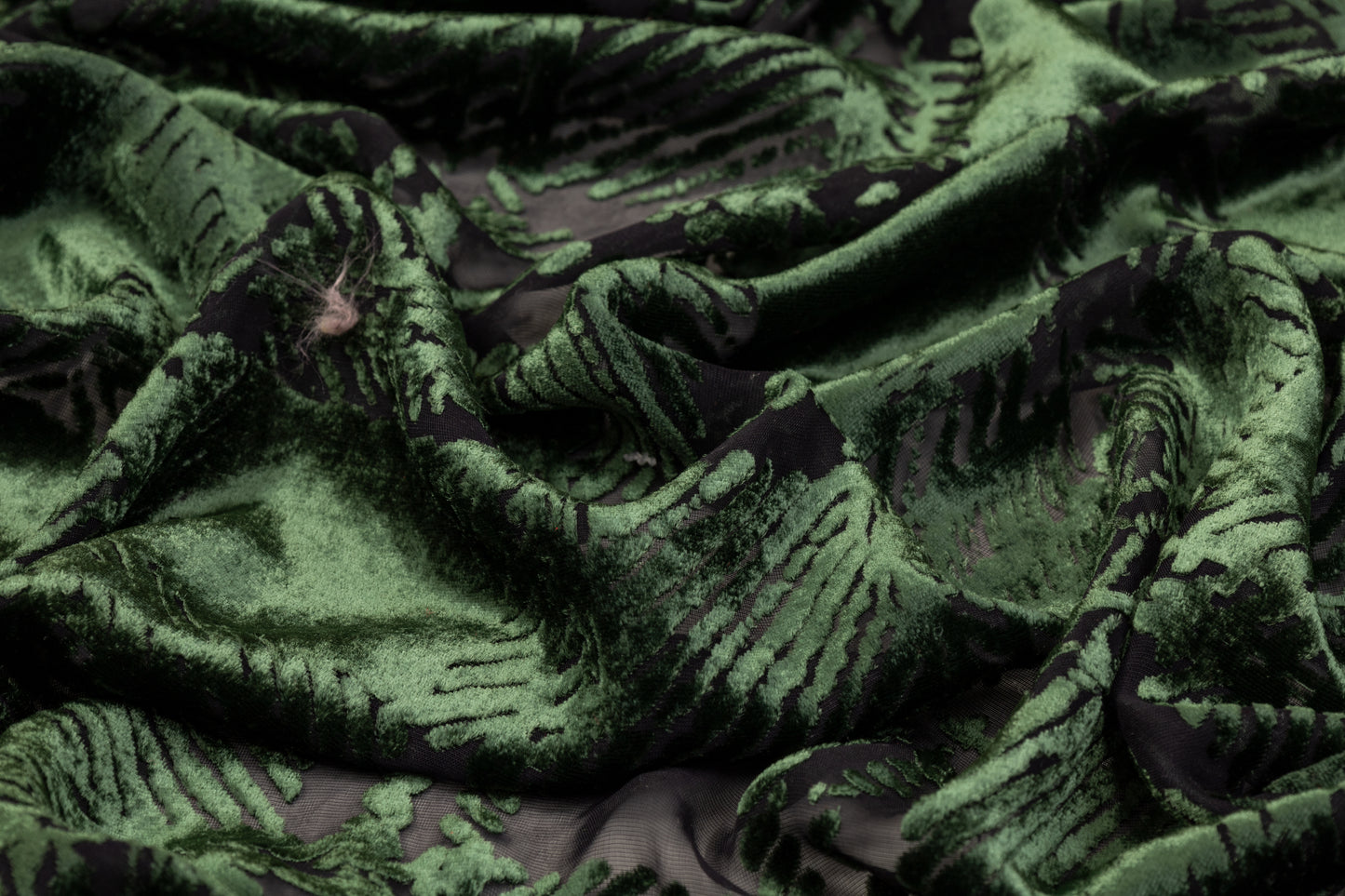 Silk Viscose Velvet Burnout - Green and Black
