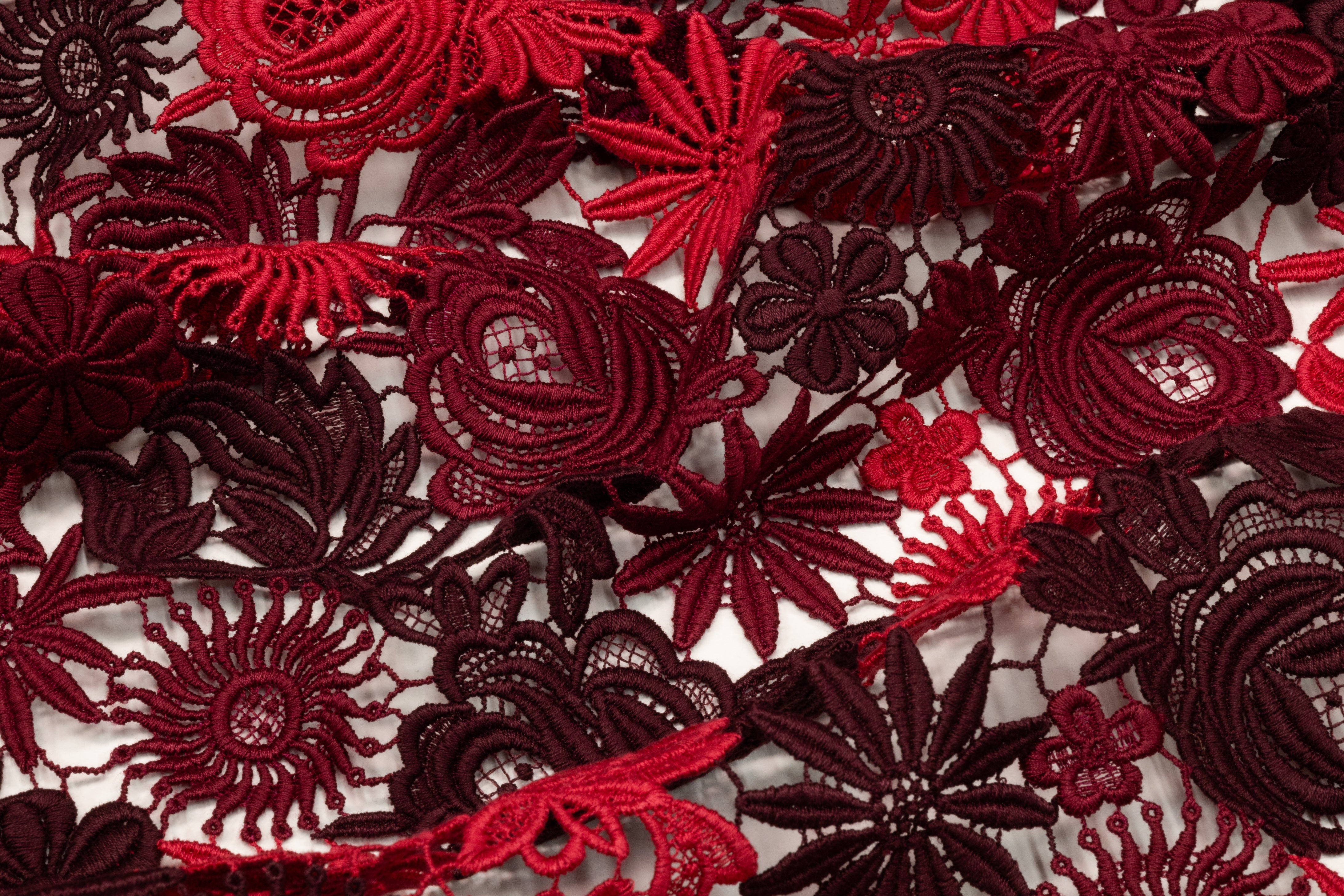 Floral Italian Cotton Guipure Lace - Red / Burgundy