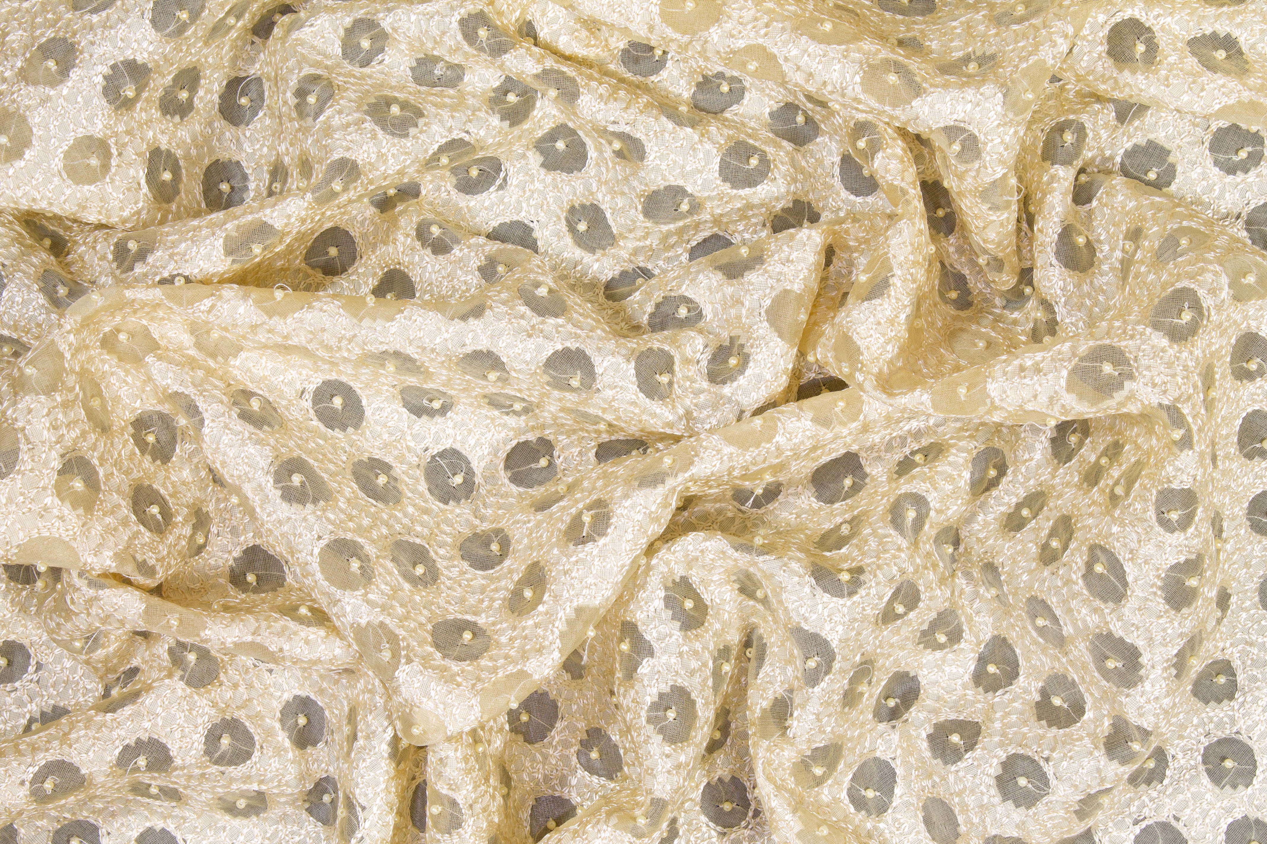 Embroidered and Beaded Silk Viscose Organza - Ivory / Cream