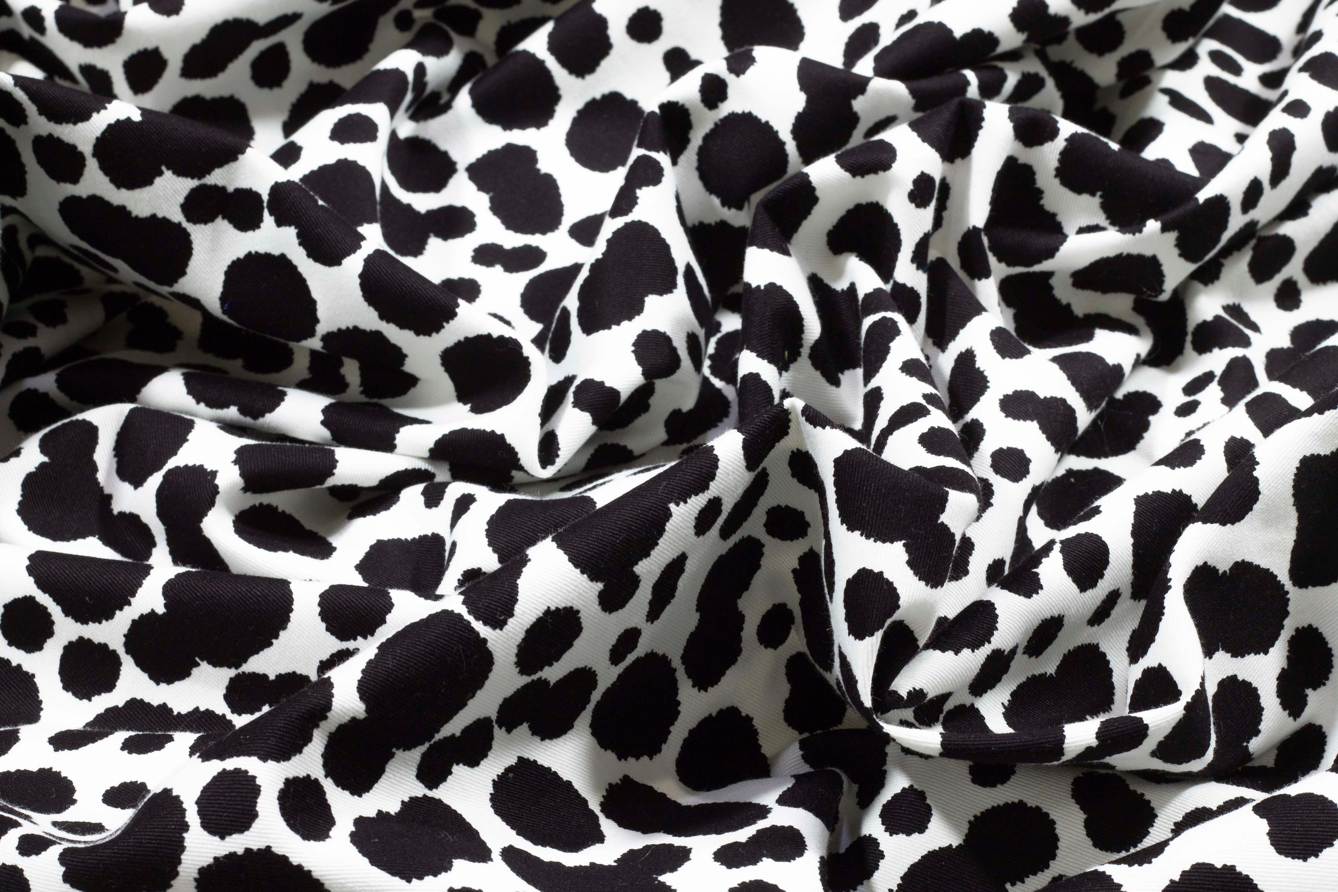 Black and White Cow Print Cotton - Prime Fabrics