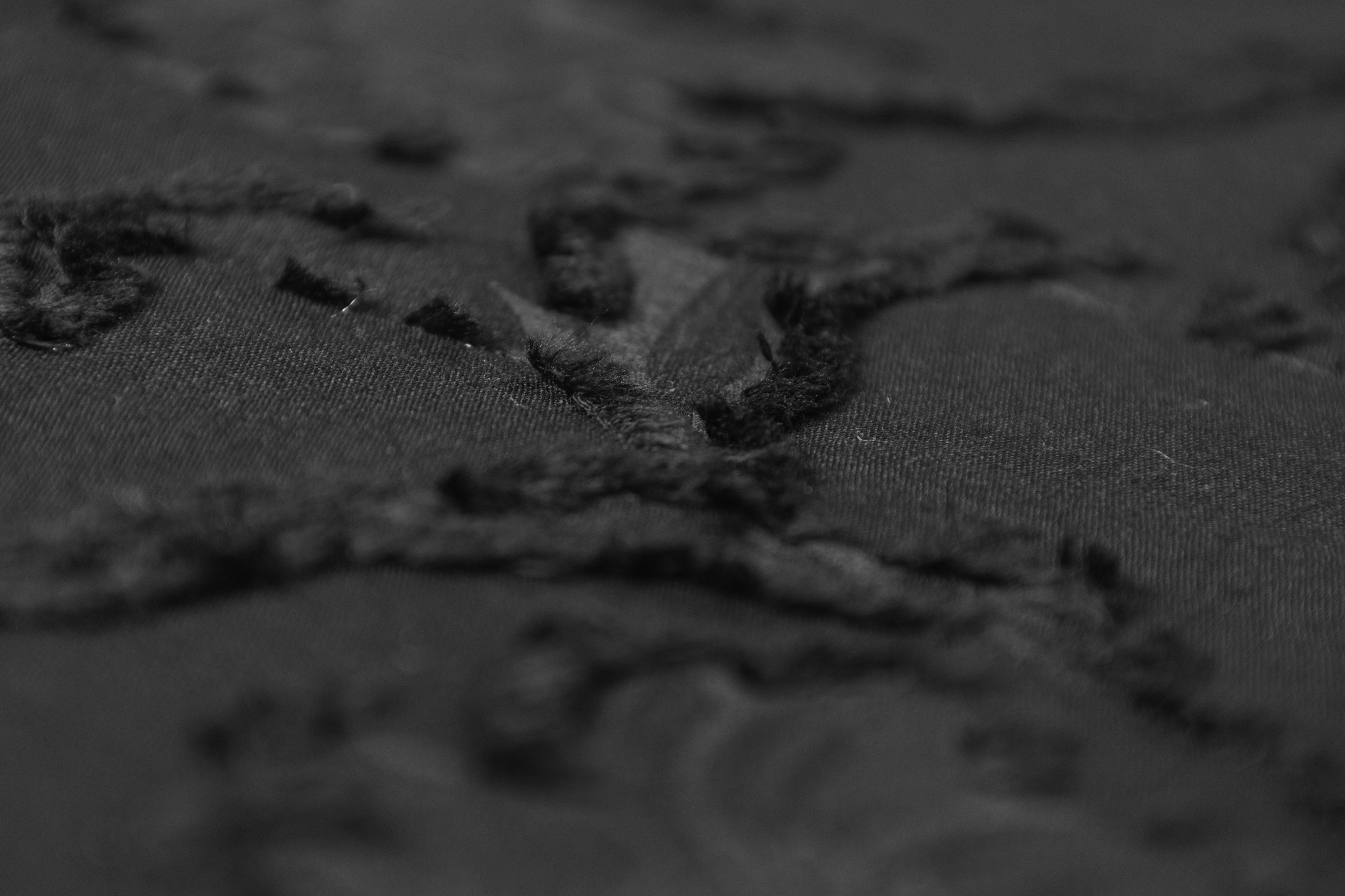Floral Cotton Fil Coupé - Black