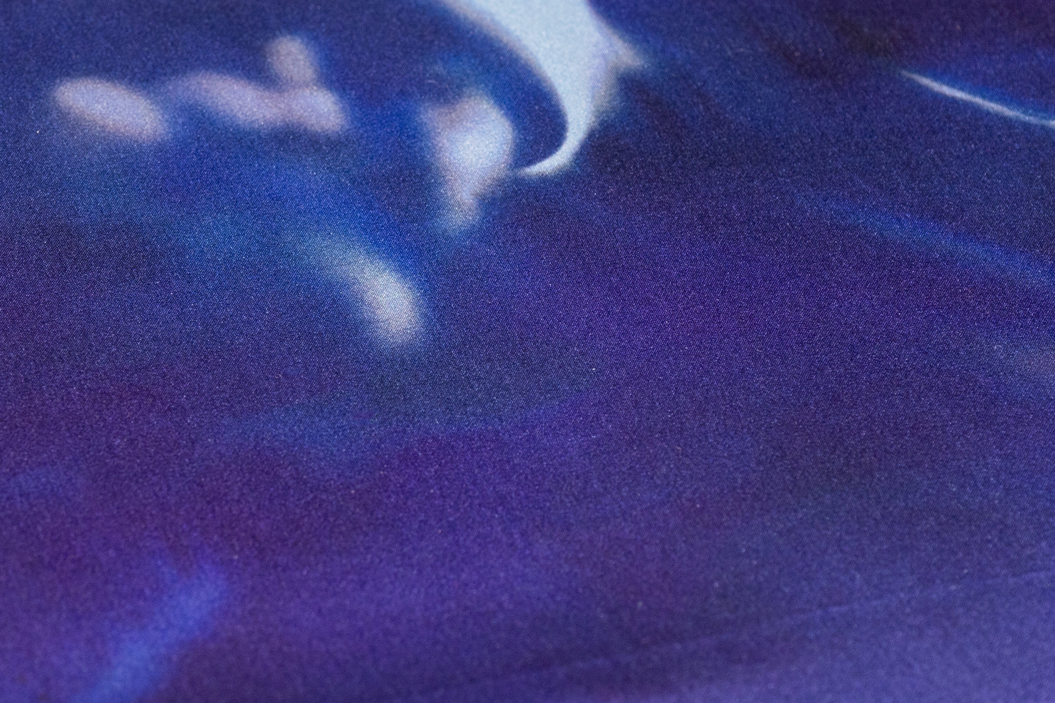 Floral Italian Silk Charmeuse - Blue