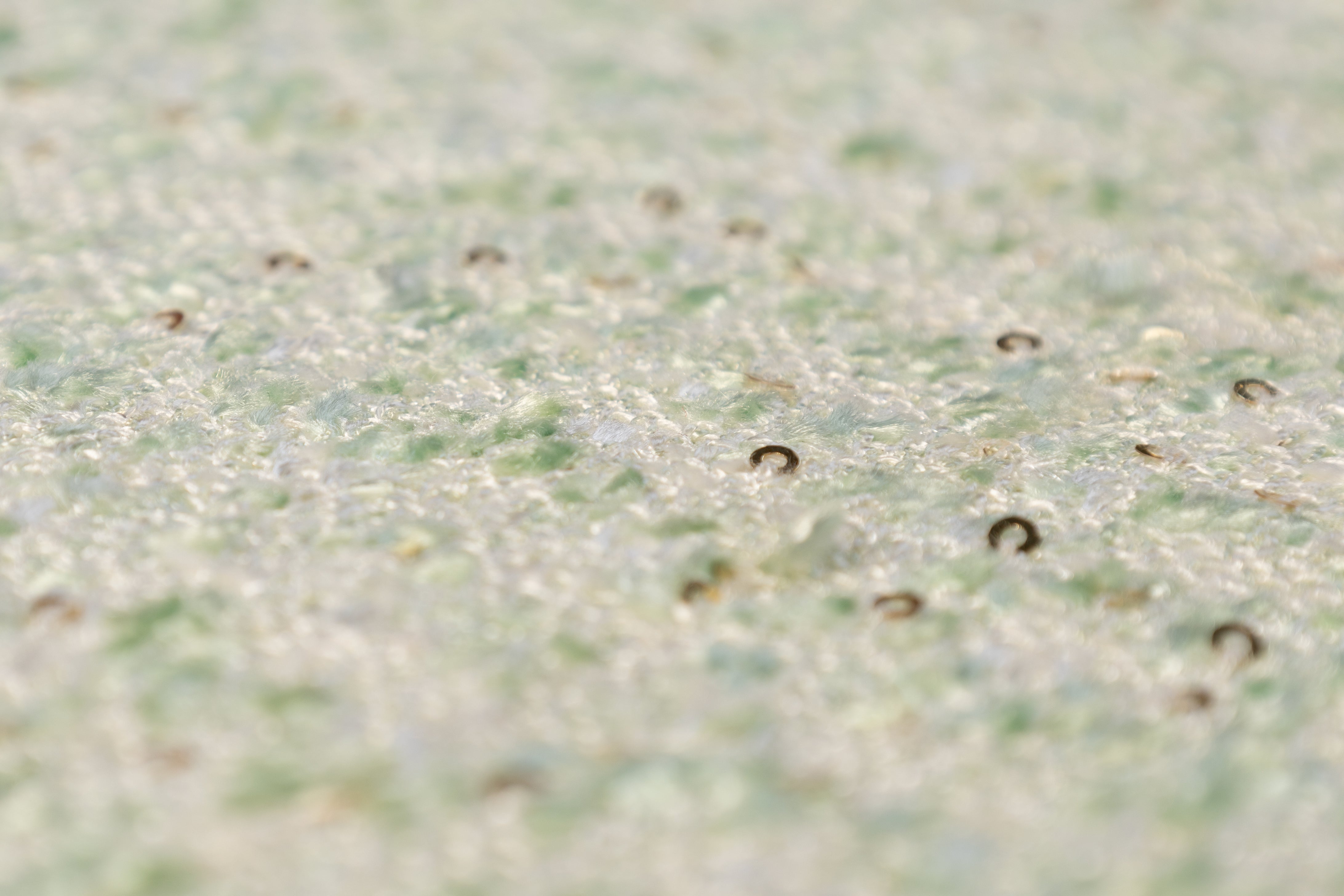 Sequined Viscose Chenille Tweed - Green / White / Gold