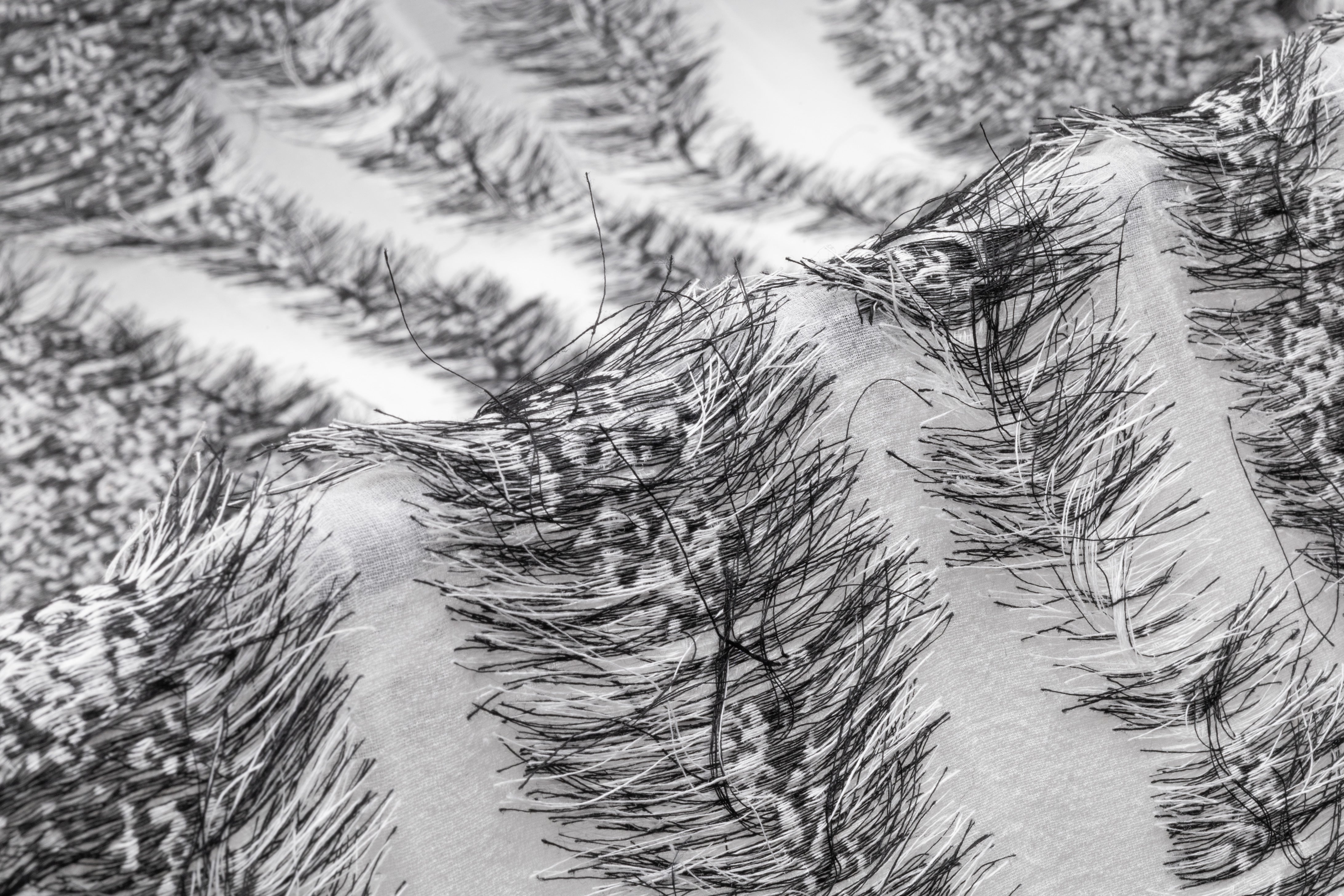 Fringed Italian Silk Blend Organza Fil Coupé - Gray