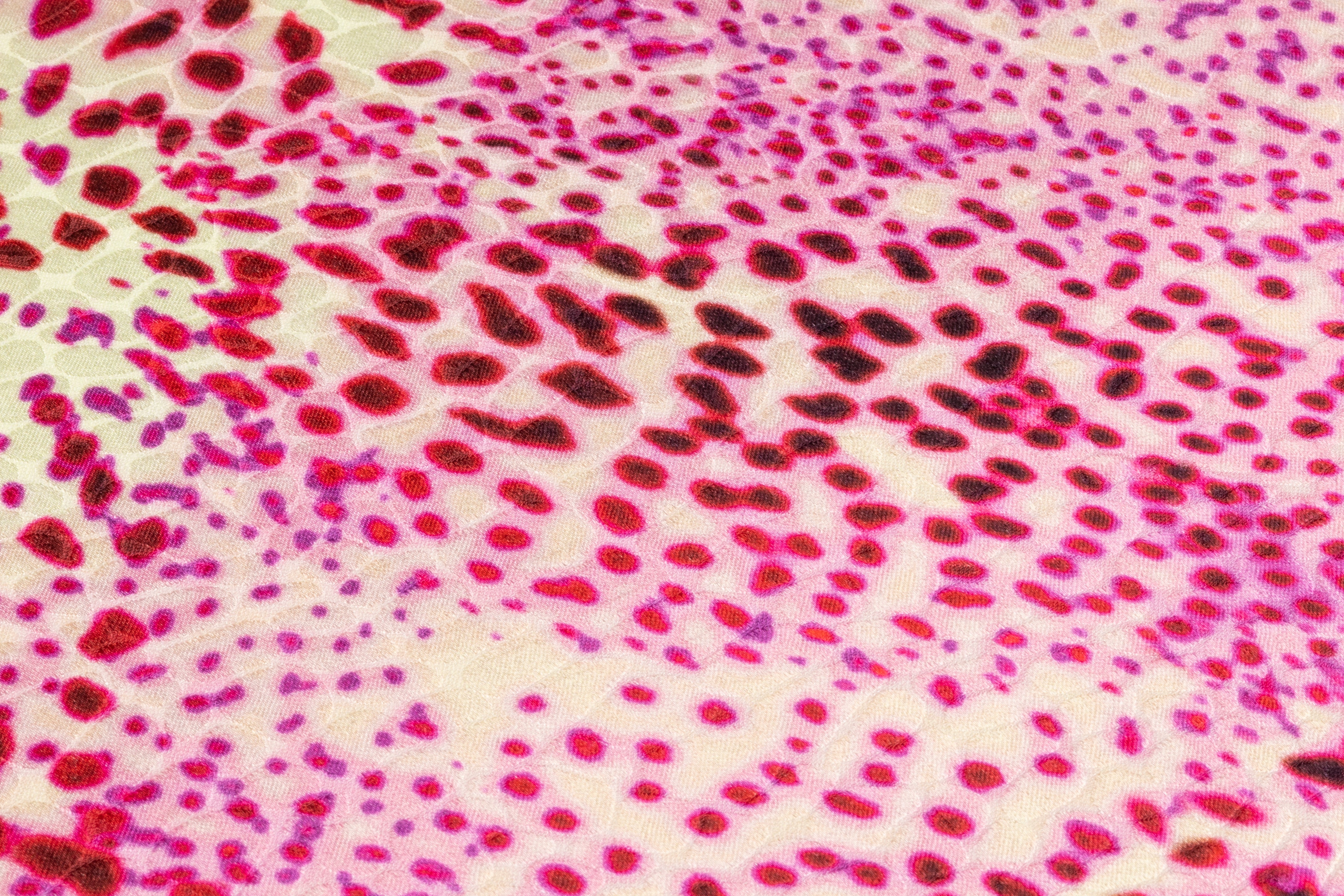 Reptilian Printed Italian Viscose Jacquard - Pink