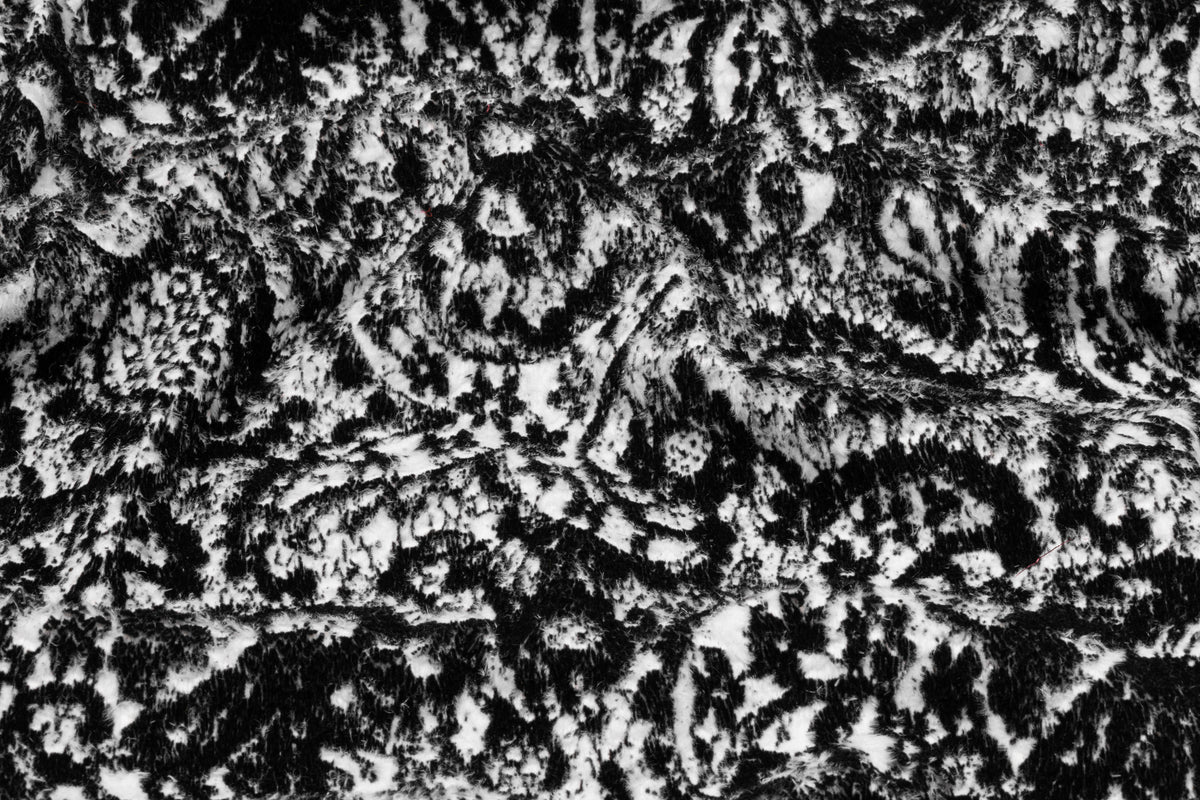 Abstract Paisley Viscose Nylon Coating - Black / White
