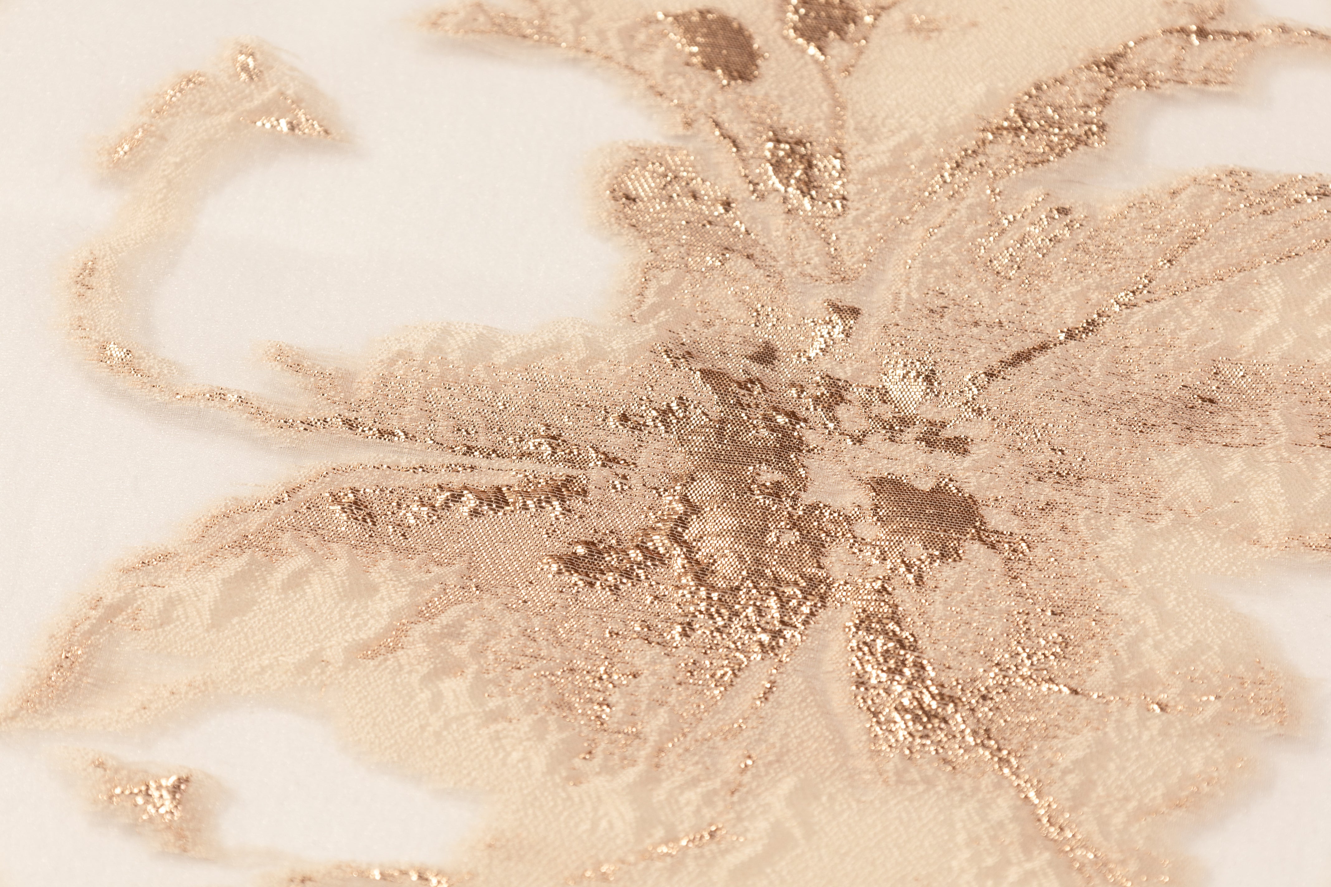 Floral Metallic Organza Fil Coupé - Gold