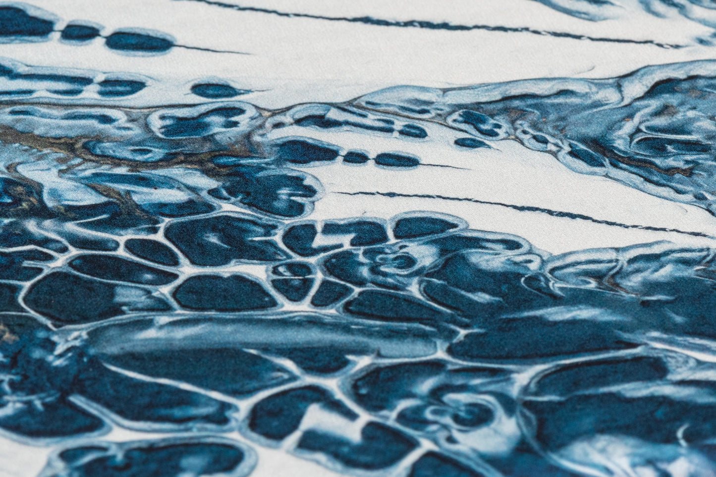 Roberto Cavalli - Abstract 4-Ply Stretch Silk Crepe - Blue