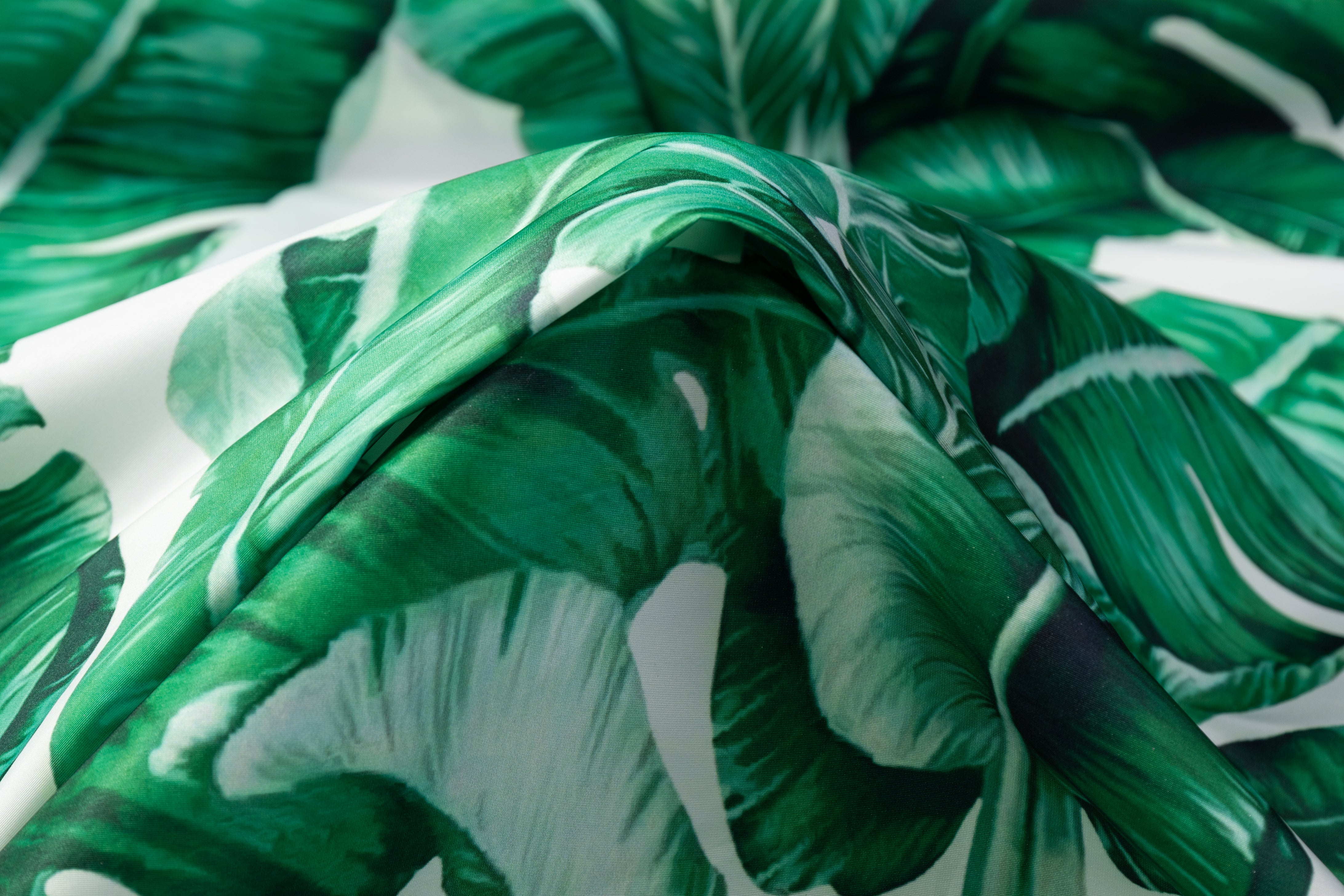 Tropical Printed Italian Poly Faille - Green / White