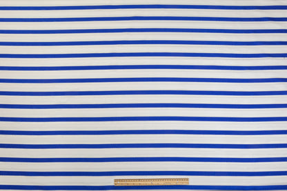 Ribbed Striped Organza Burnout Brocade - Blue / White