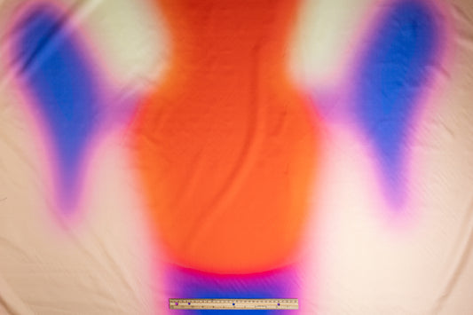 Printed Silk Taffeta - Multicolor