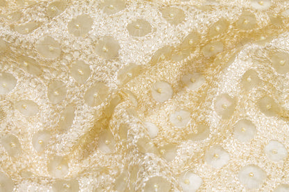 Embroidered and Beaded Silk Viscose Organza - Ivory / Cream