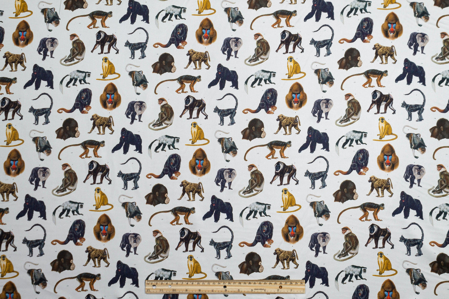 Roberto Cavalli - Monkey Print Italian Silk Twill - Prime Fabrics