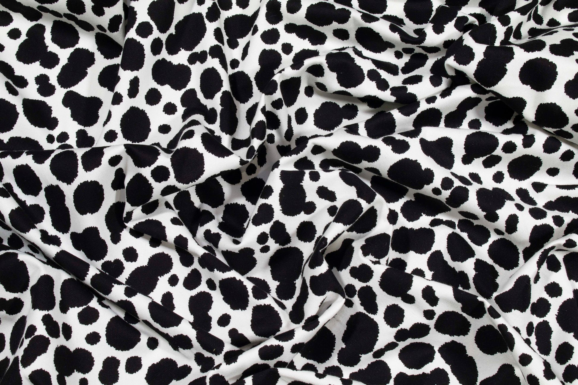 Black and White Cow Print Cotton - Prime Fabrics
