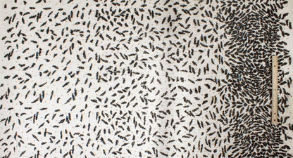 Hand Beaded and Sequined Mesh - Black and Beige - Prime Fabrics