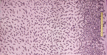 Hand Beaded and Sequined Mesh - Purple - Prime Fabrics