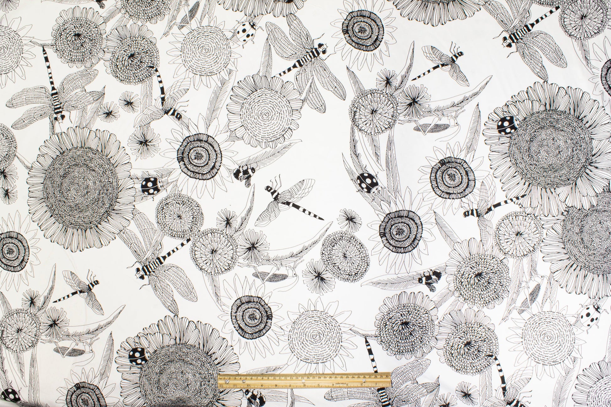 Sunflower Cotton Sateen - Black and White - Prime Fabrics