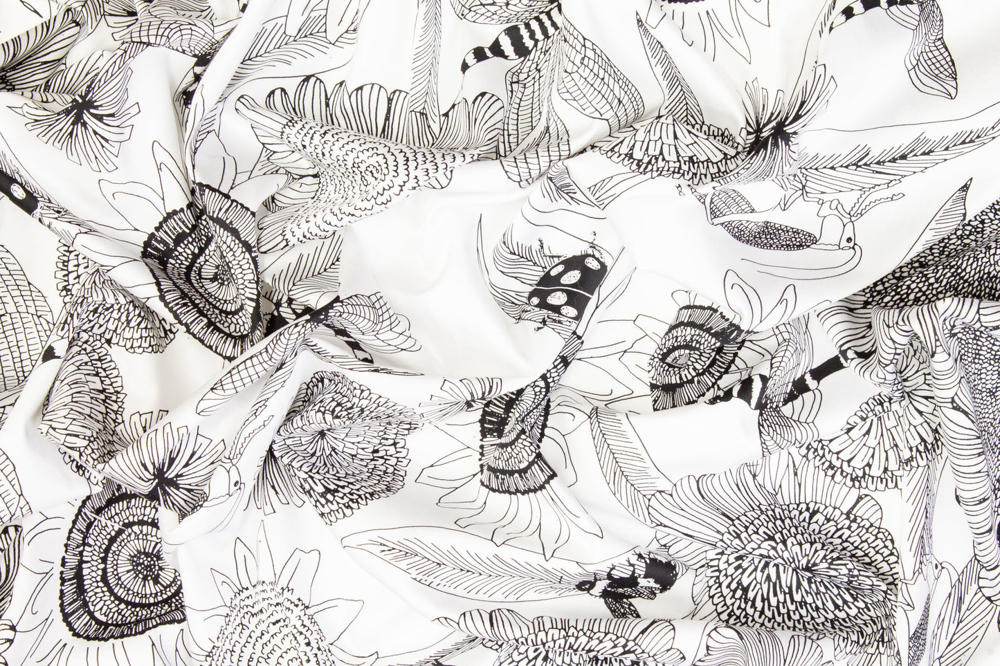 Sunflower Cotton Sateen - Black and White - Prime Fabrics