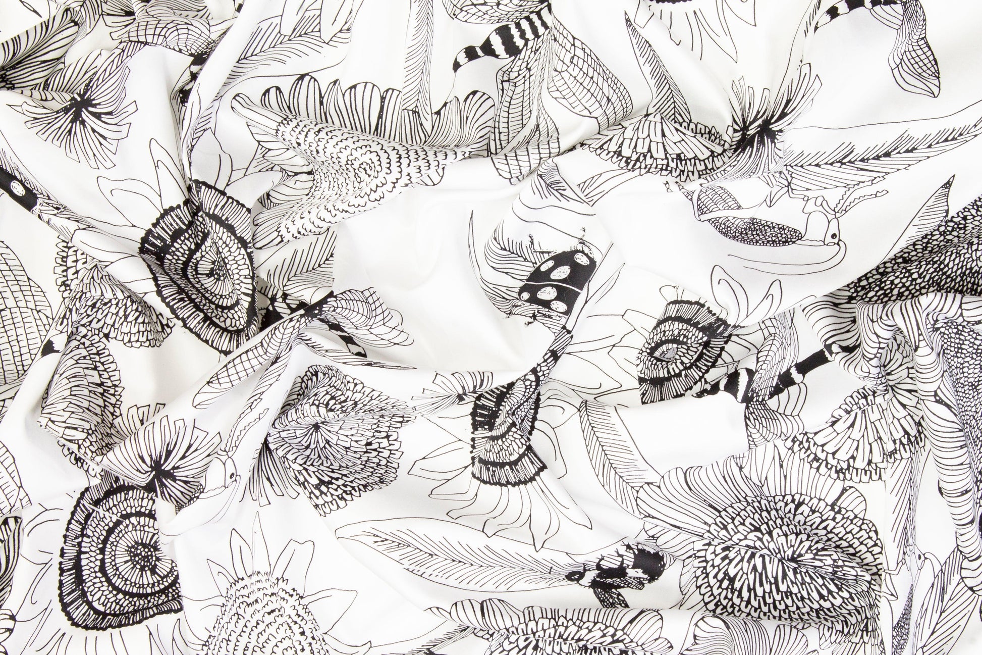Sunflower Cotton Sateen - Black and White - Prime Fabrics