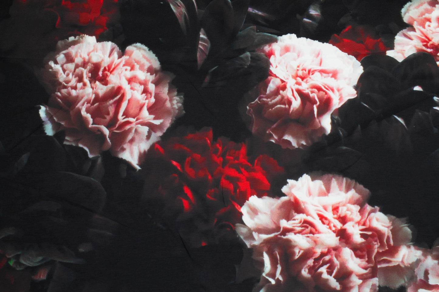 Dark Floral French Polyester - Red, Pink, Black - Prime Fabrics