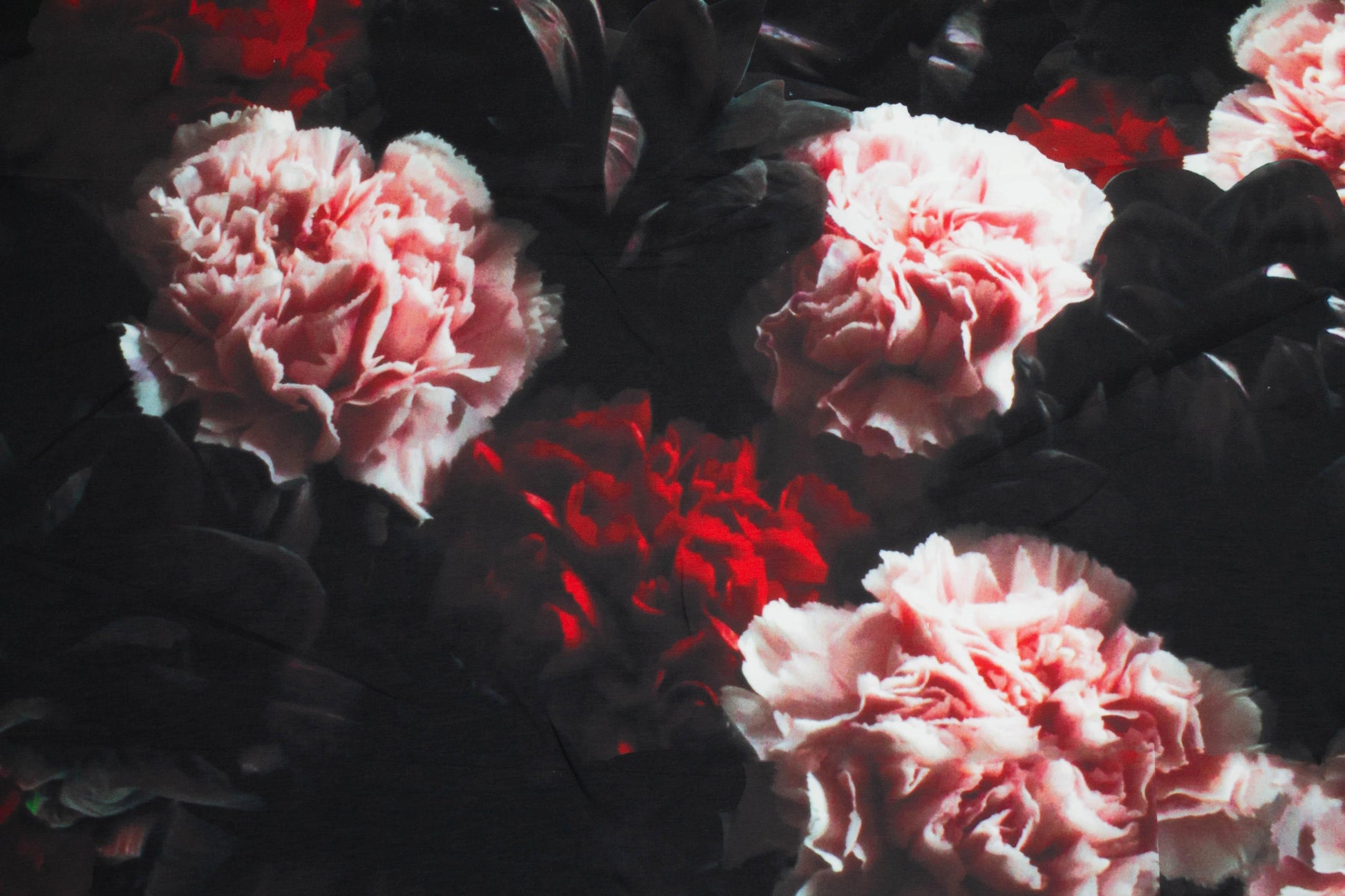 Dark Floral French Polyester - Red, Pink, Black - Prime Fabrics